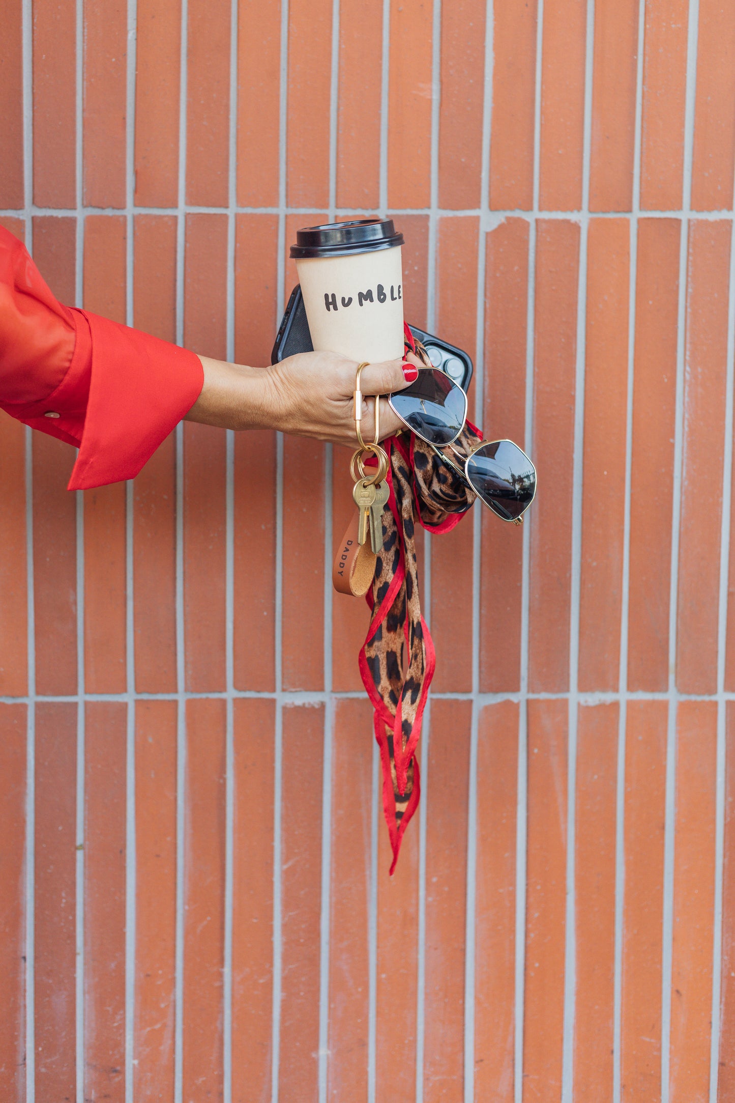 The Everyday Carabiner
